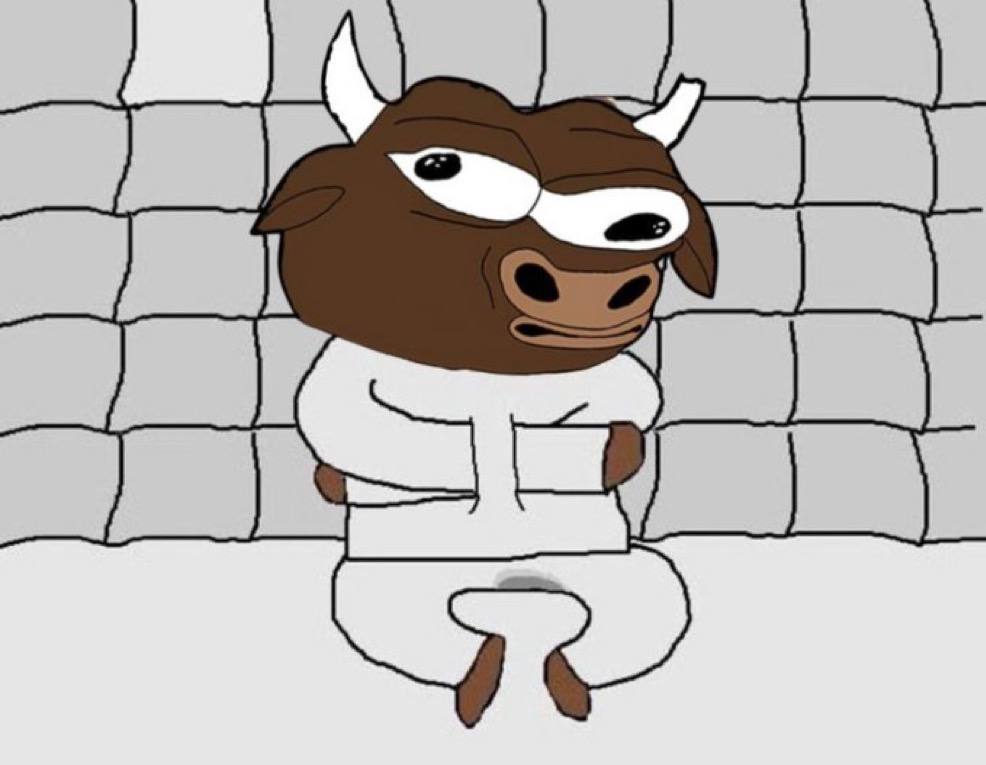 Delusional Bull in a straitjacket inside a padded room